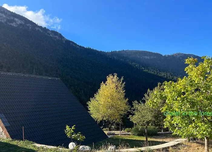 Chalet In The Forest