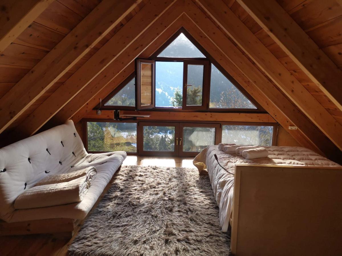 In The Forest Lodge