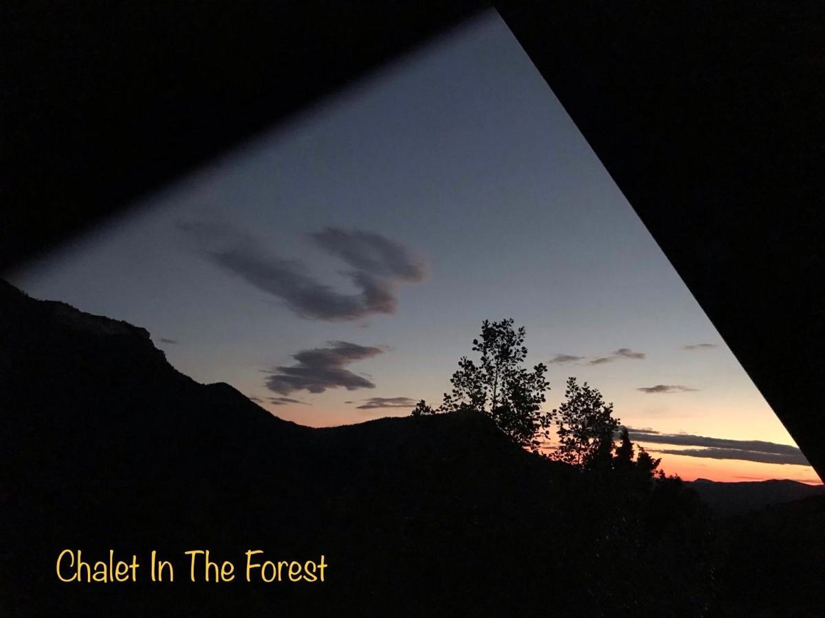 Lodge In The Forest *