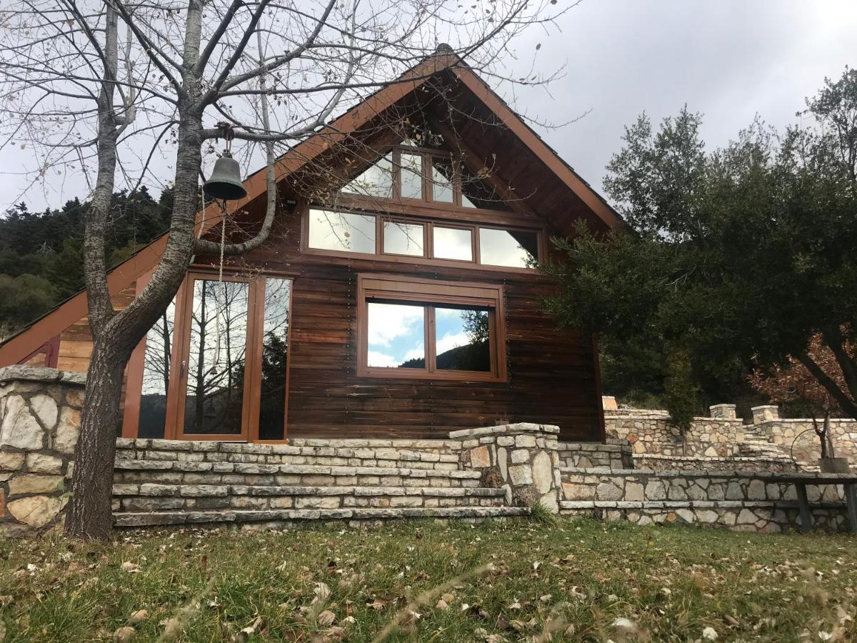 Lodge In The Forest