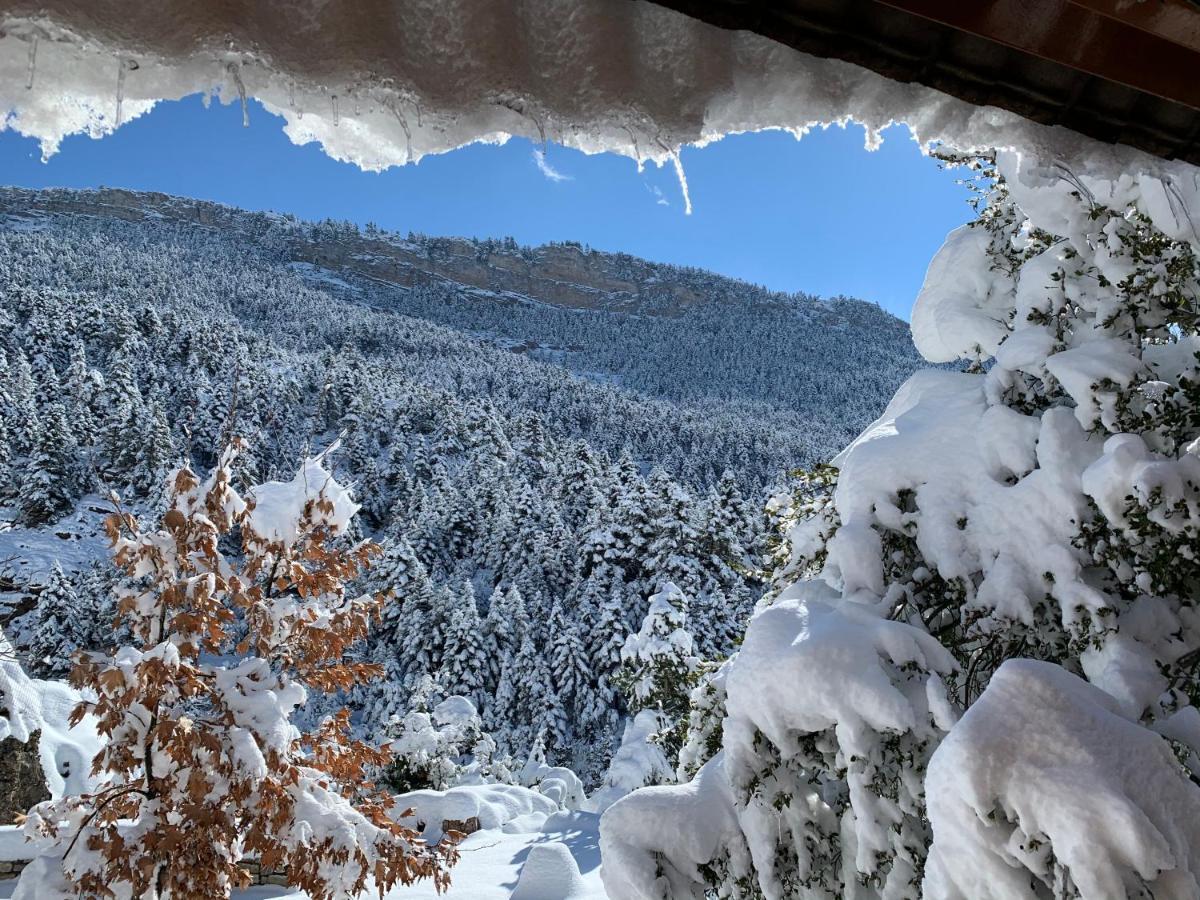In The Forest Kalavryta