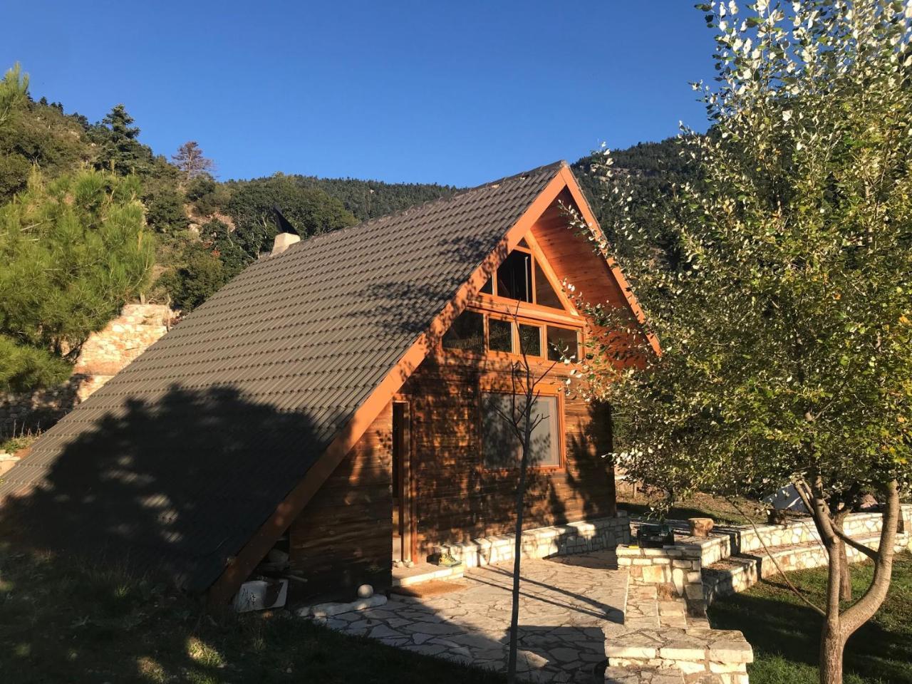 Lodge In The Forest *