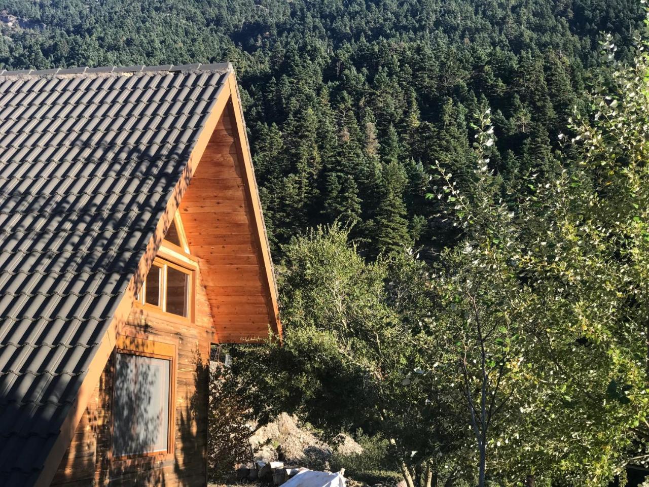 Lodge In The Forest