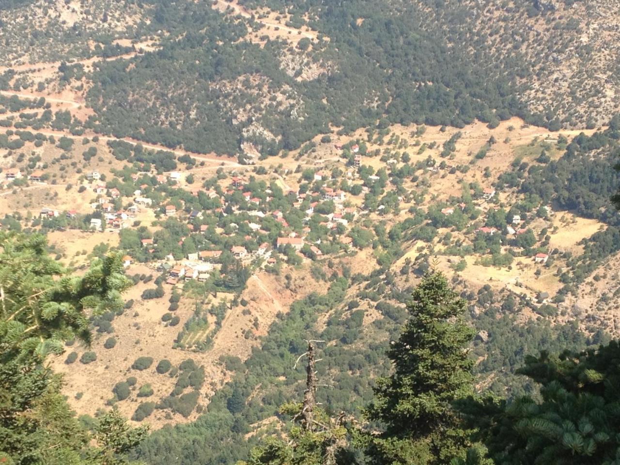 In The Forest Kalavryta