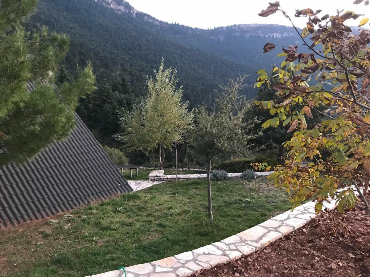 In The Forest * Kalavryta