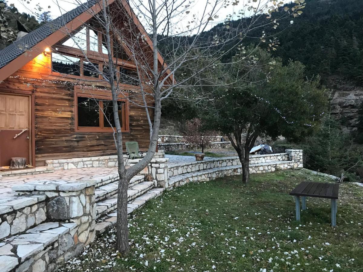 In The Forest Lodge *