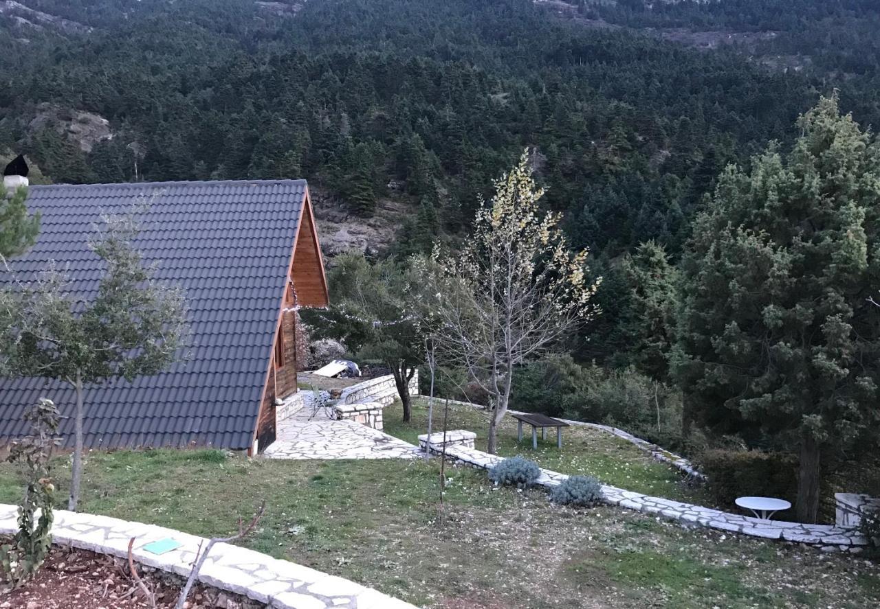 In The Forest Lodge