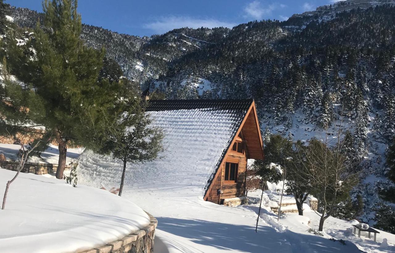 In The Forest Lodge Kalavryta