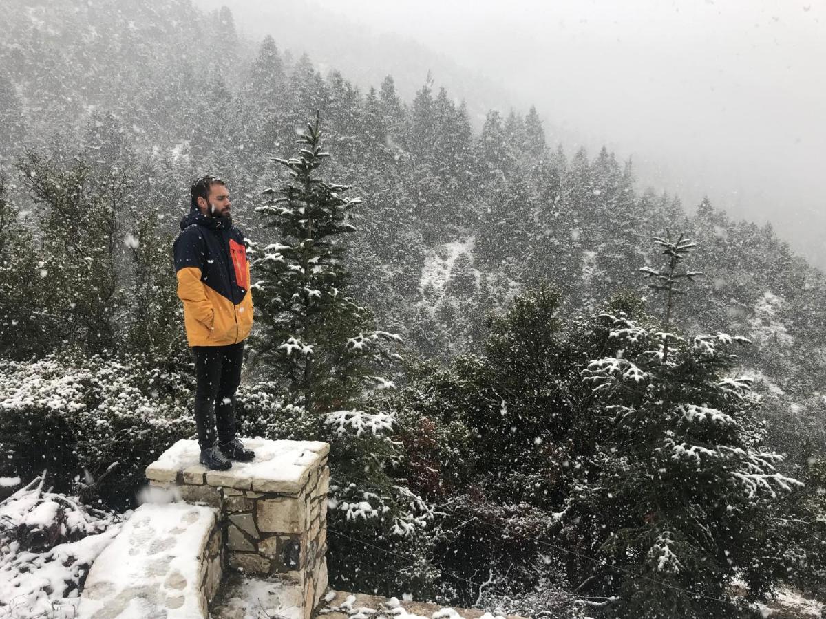 In The Forest * Kalavryta