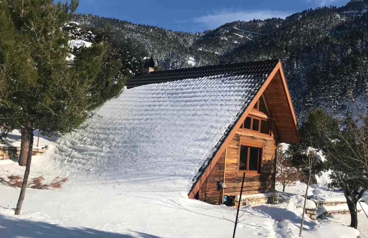 Lodge In The Forest Kalavryta