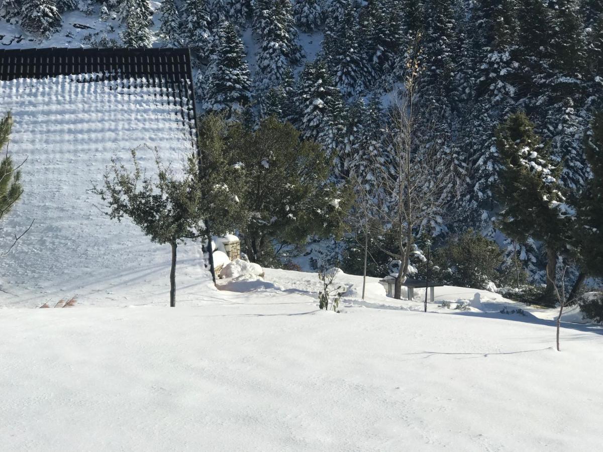 Lodge In The Forest Kalavryta